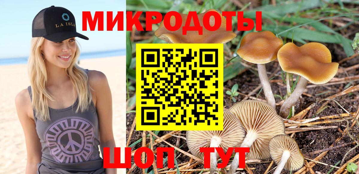 Грозный  Галлюциногенные грибы мицелий  Псилоцибиновые грибы мицелий  Вход с VPN 
